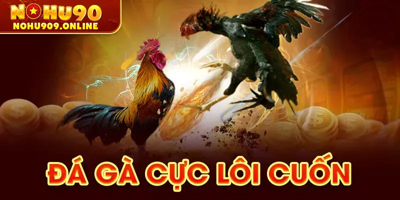 Đá gà cực lôi cuốn 