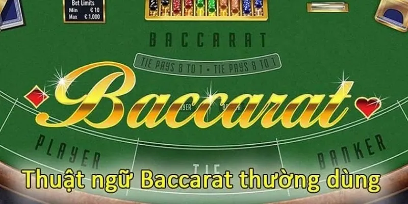 Top thuật ngữ giúp nâng tầm cuộc chơi với Baccara