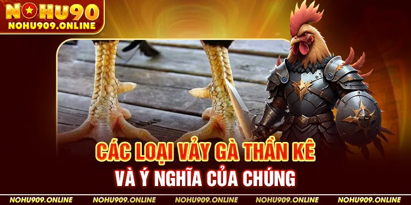 Các Loại Vảy Gà Thần Kê Và Ý Nghĩa Của Chúng