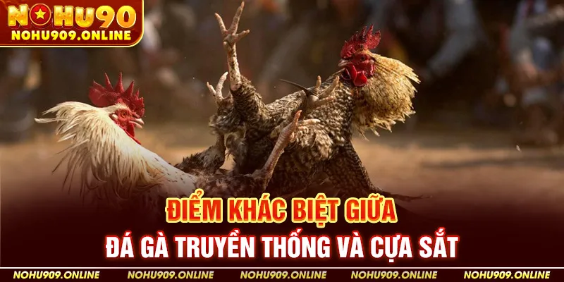 Điểm Khác Biệt Giữa Đá Gà Truyền Thống Và Cựa Sắt